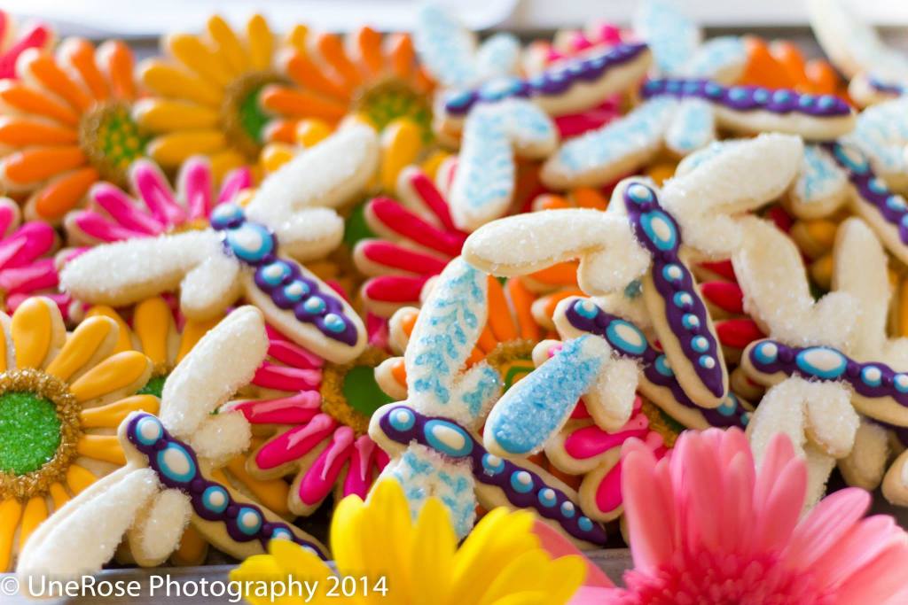 Brightly colored dragon flies and daisies!