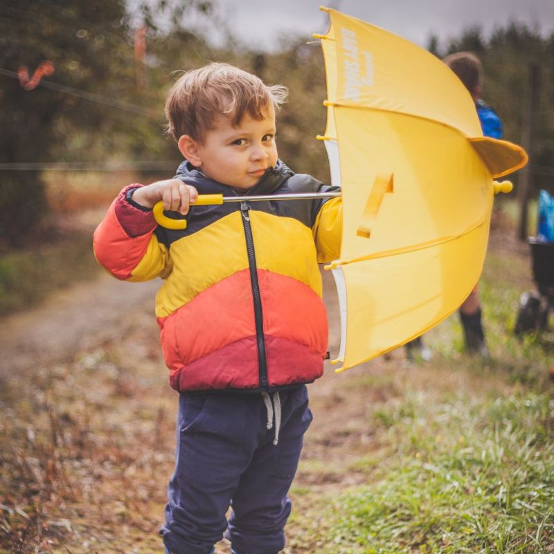 All the Leaves are&nbsp;Brown…